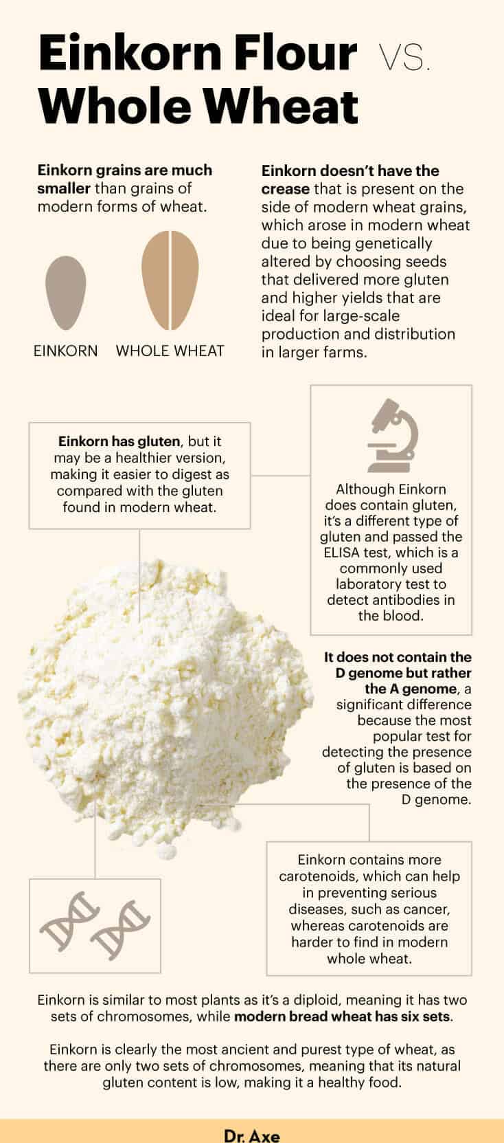 Einkorn flour vs. whole wheat - Dr. Axe
