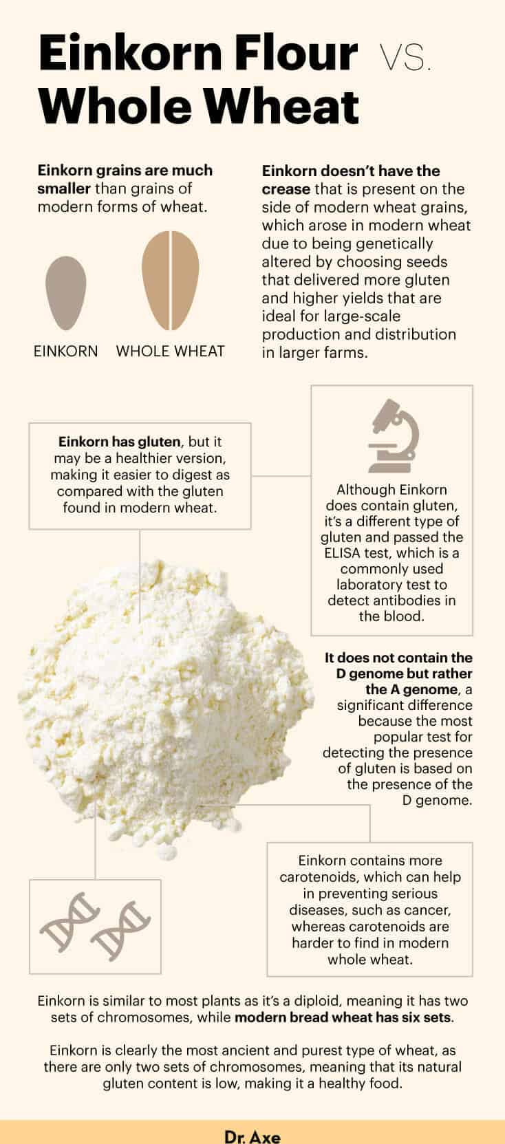 What Is Einkorn Flour? Health Benefits Nutrition and Uses Dr Axe