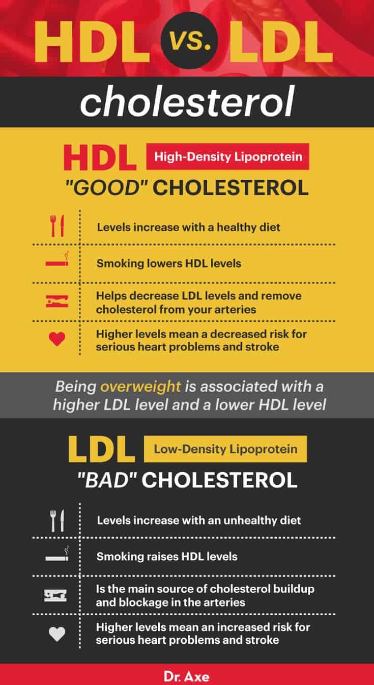HDL cholesterol vs. LDL cholesterol - Dr. Axe
