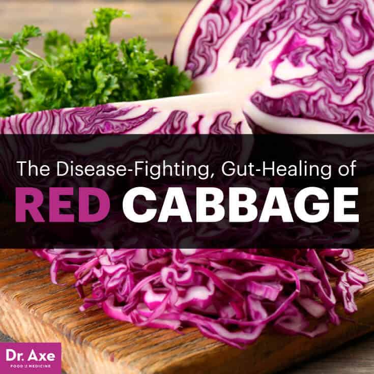 Red cabbage - Dr. Axe