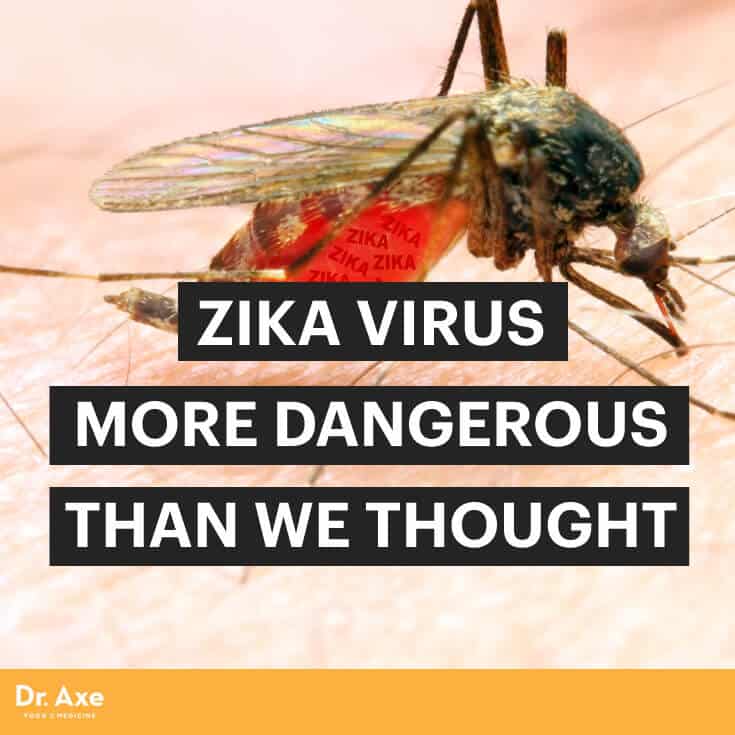 Avoiding Zika Virus What You Need To Know 3165