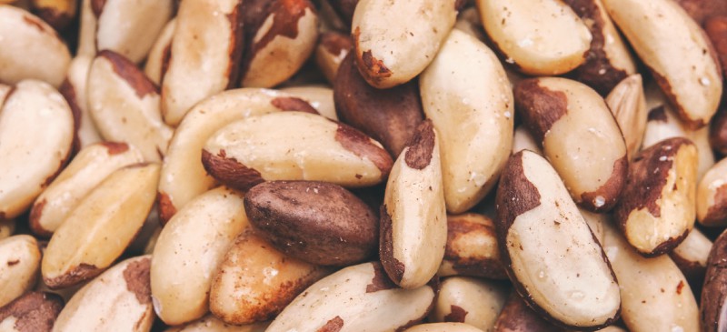 Organic Brazil Nuts - The Source Bulk Foods Shop