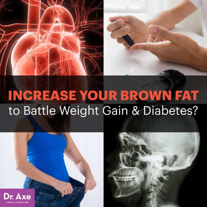 Increase Your Brown Fat to Maintain a Healthy Body Weight