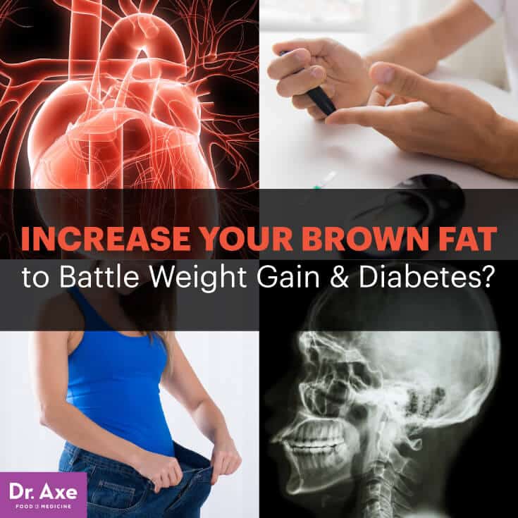 Increase brown fat - Dr. Axe