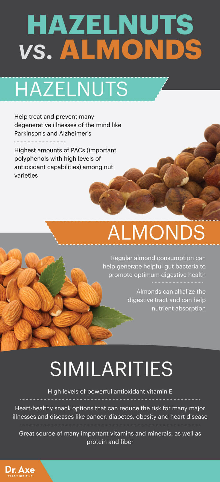 Hazelnuts: 7 Benefits of These Heart-Healthy, Brain-Boosting Nuts ...