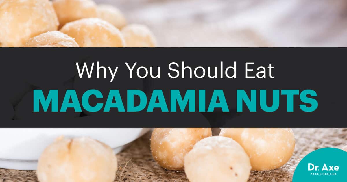 Macadamia Nuts Benefit Bone, Gut, Brain and Heart Health Dr. Axe