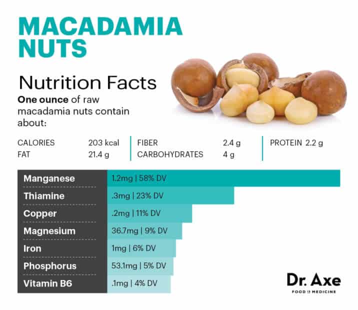 Macadamia Nuts Benefit Bone Gut Brain And Heart Health Dr Axe