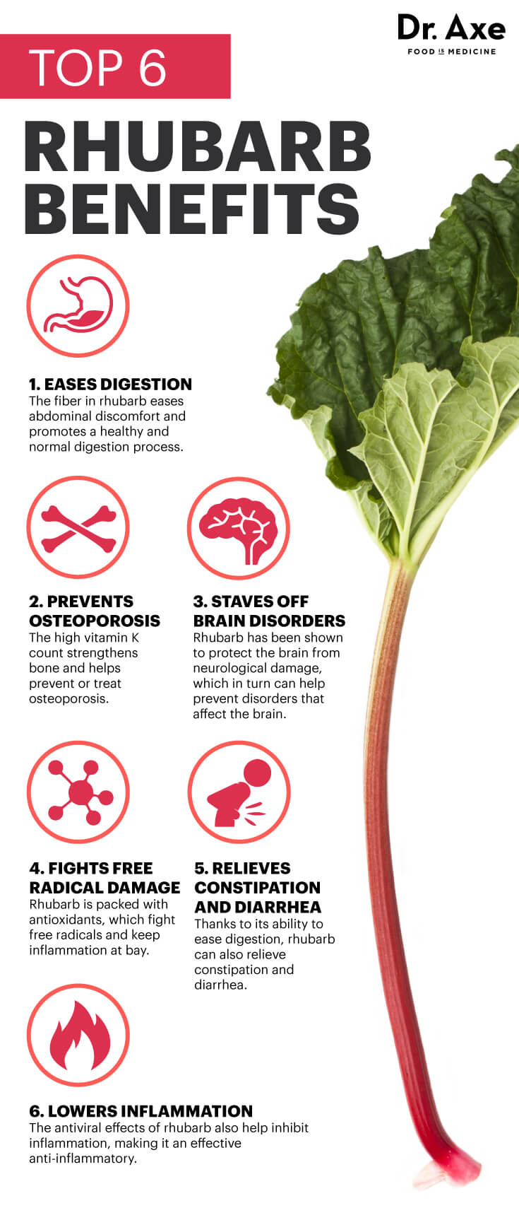 Rhubarb benefits - Dr. Axe