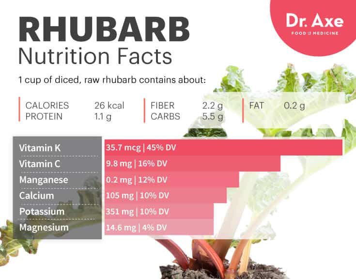Rhubarb nutrition - Dr. Axe