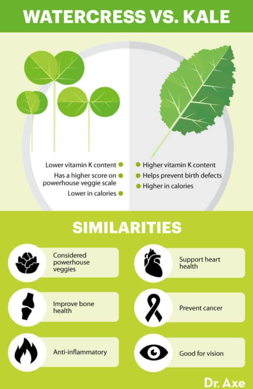 Watercress Benefits Nutrition Facts and Recipes - Dr. Axe