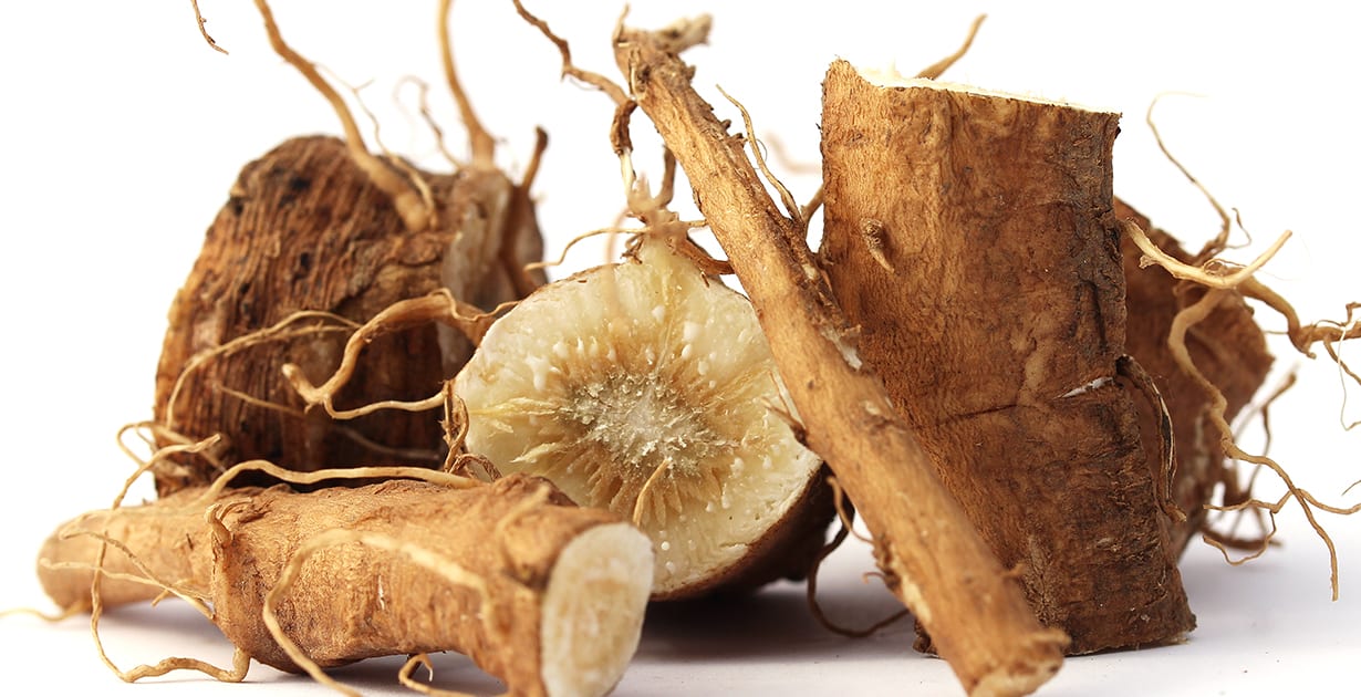 Chicory root powder supplier- YANGGE BIOTECH Chicory root powder supplier- YANGGE BIOTECH