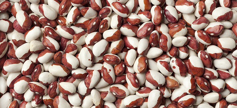 Anasazi beans - Dr. Axe