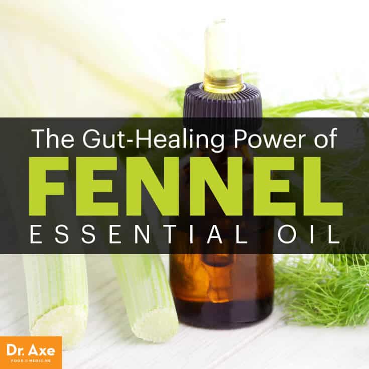 Fennel essential oil - Dr. Axe
