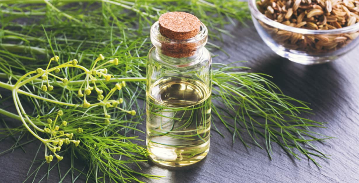Fennel Essential Oil: 6 Benefits of This Gut-Healing Oil - Dr. Axe