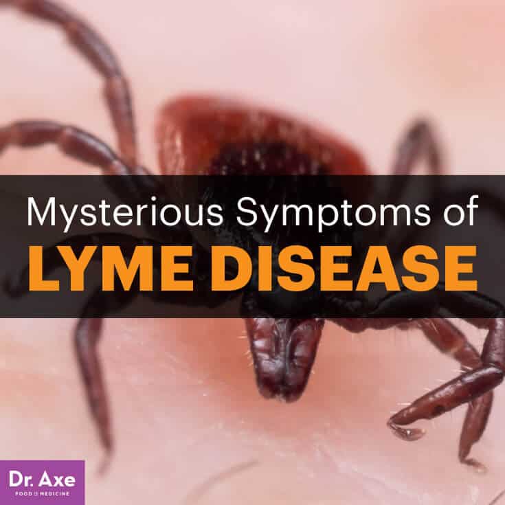 What are the most common side effects of Lyme disease?