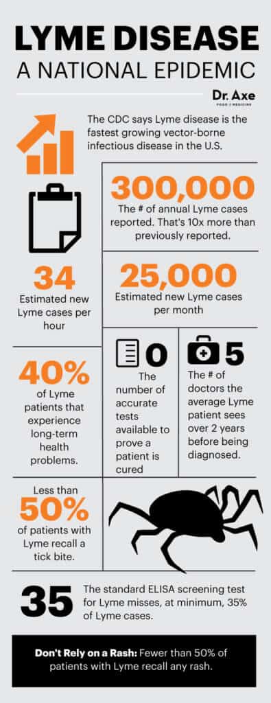 lyme disease symptoms - dr. axe