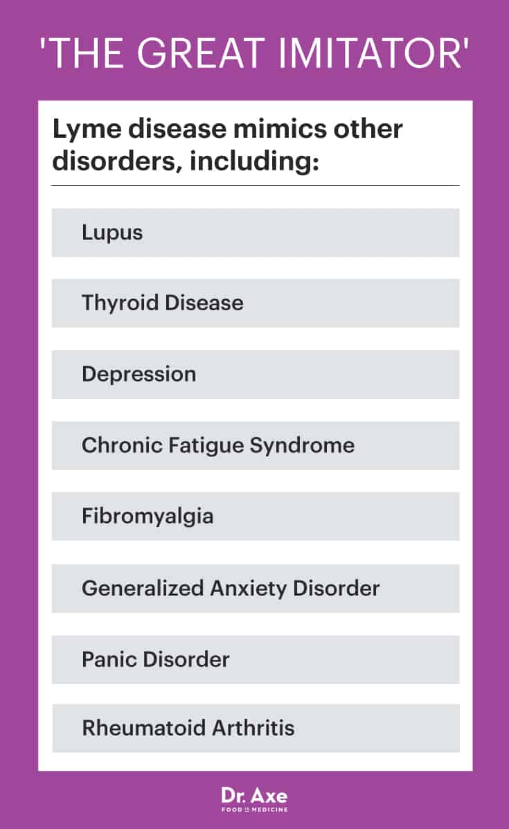 Lyme disease symptoms - Dr. Axe