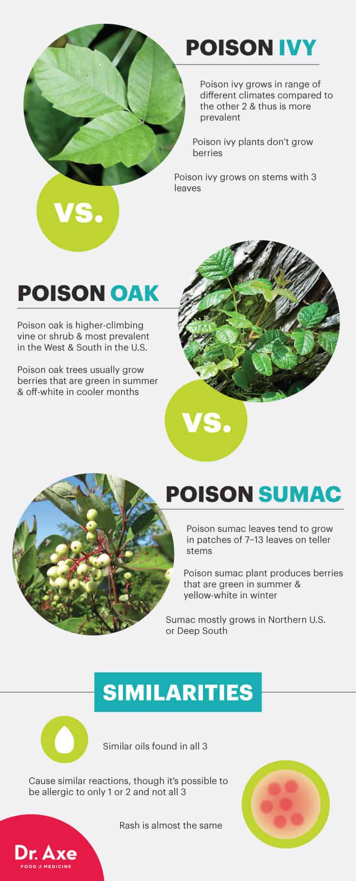 Poison ivy vs. poison oak vs. poison sumac - Dr. Axe