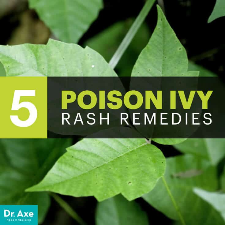 Top 5 Natural Remedies for Poison Ivy Rash - Dr. Axe