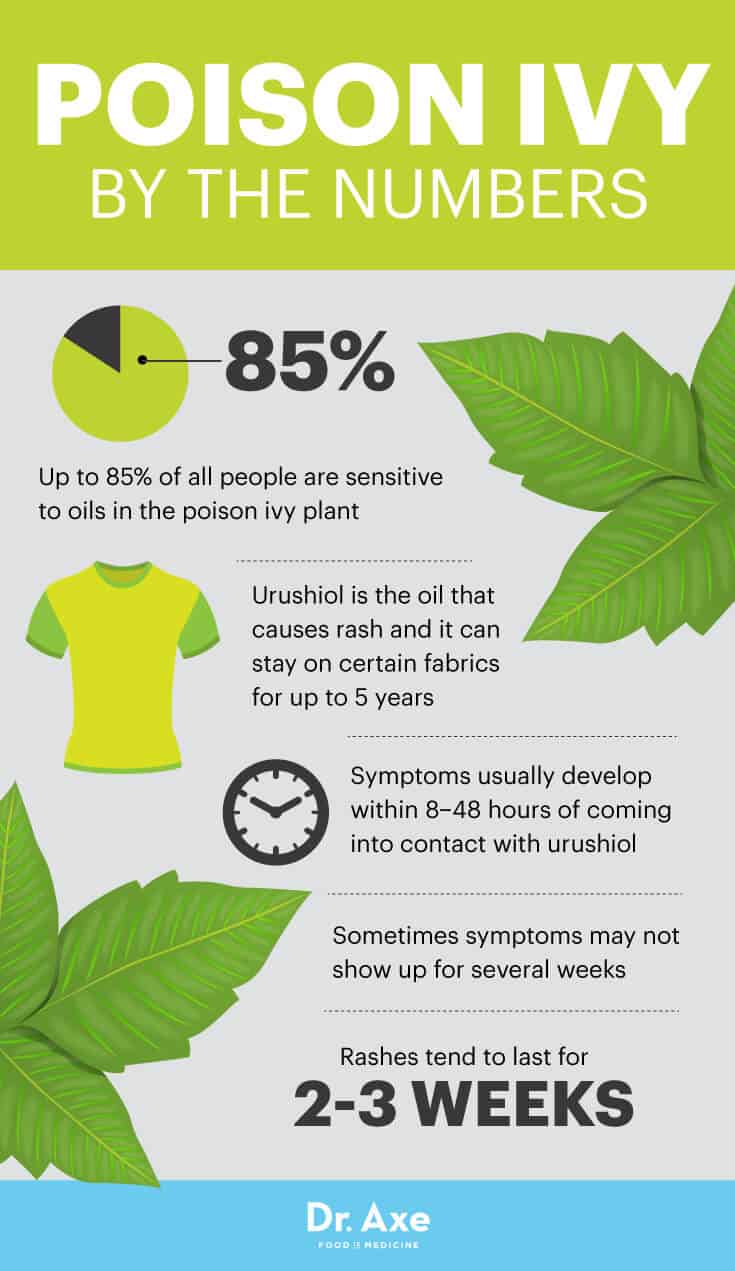Poison ivy rash by the numbers - Dr. Axe
