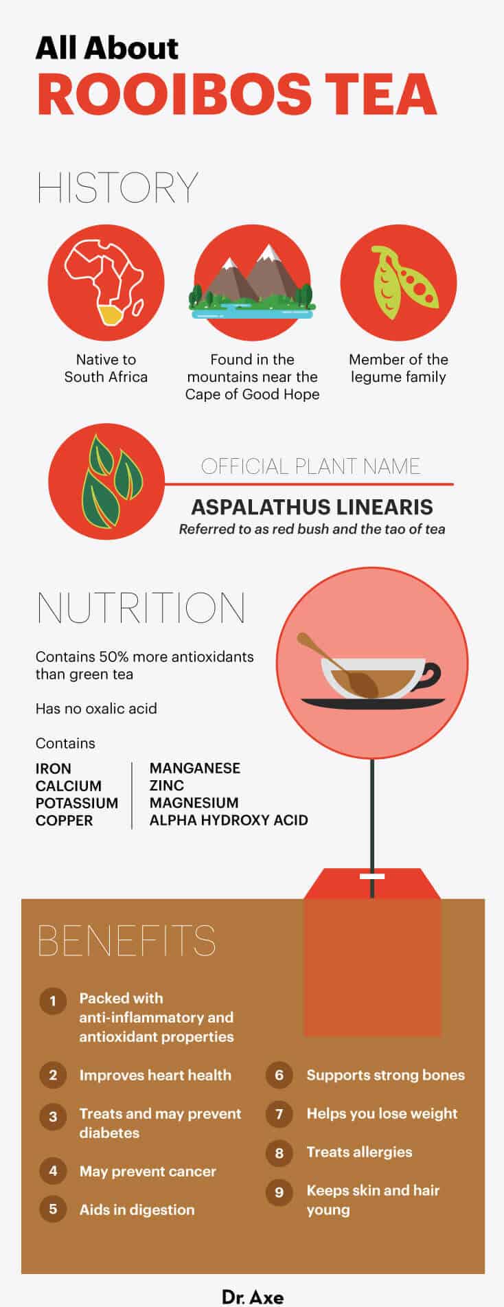 Spearmint (Tea and Essential OIl) Benefits and Side Effects - Dr. Axe