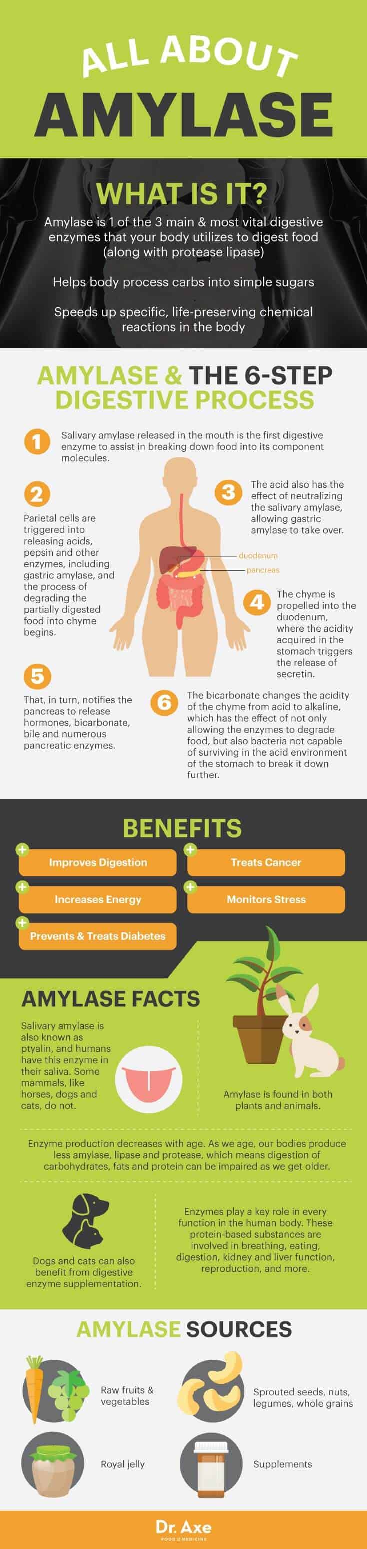 All about amylase - Dr. Axe