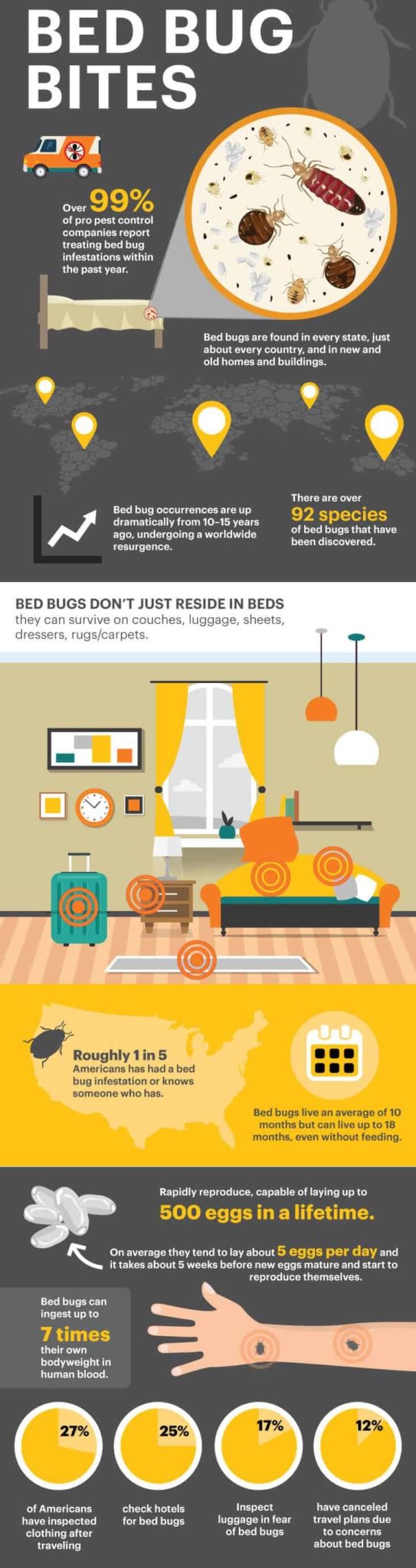 Bed Bug Bites: Symptoms, ID, Treatment, How to Get Rid - Dr. Axe