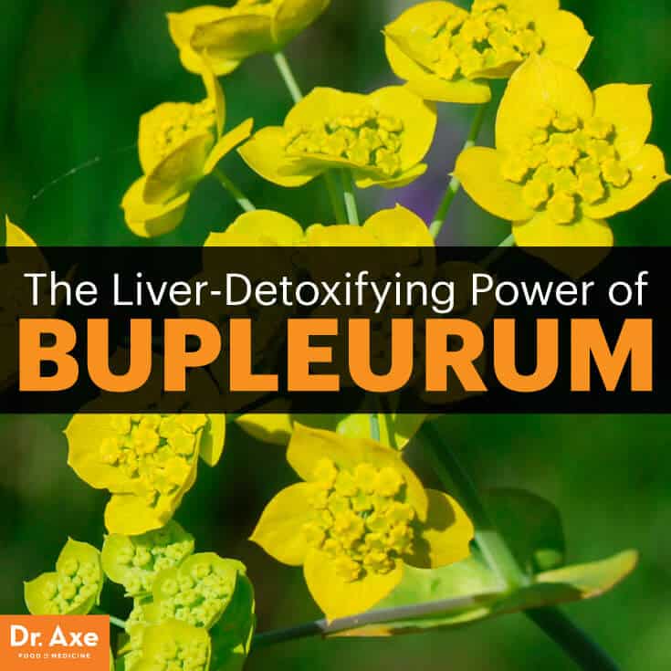 Bupleurum - Dr. Axe