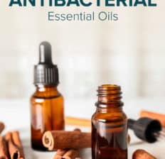 Antibacterial essential oils - Dr. Axe