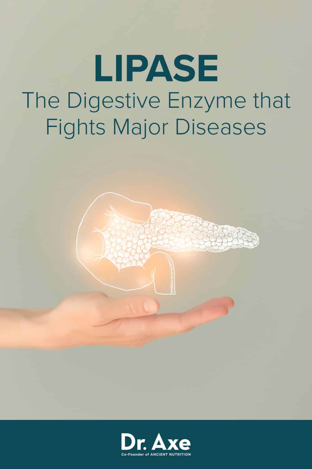 Lipase Test, Benefits, Foods, Supplements, Side Effects Dr. Axe