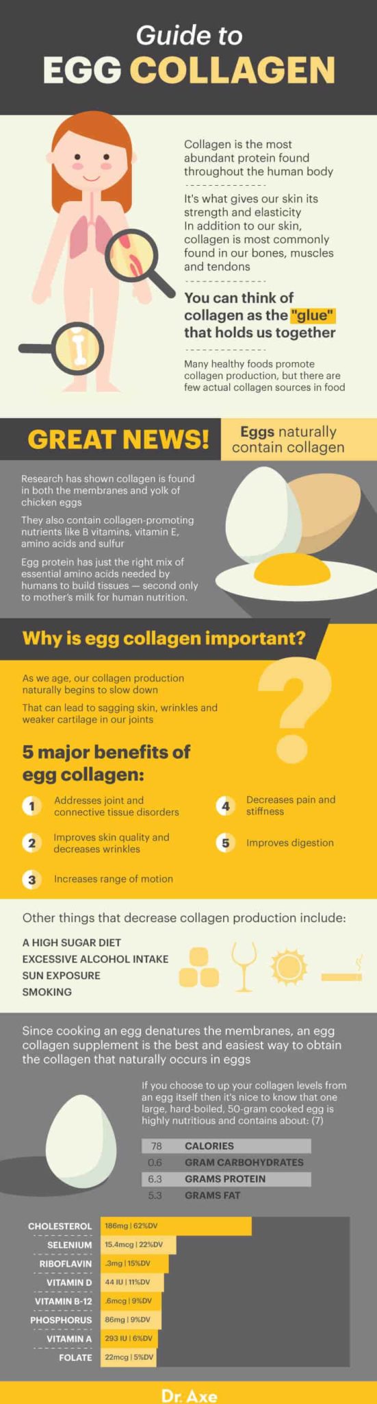 Egg Collagen Benefits, Uses, Recipes and Potential Side Effects Dr. Axe