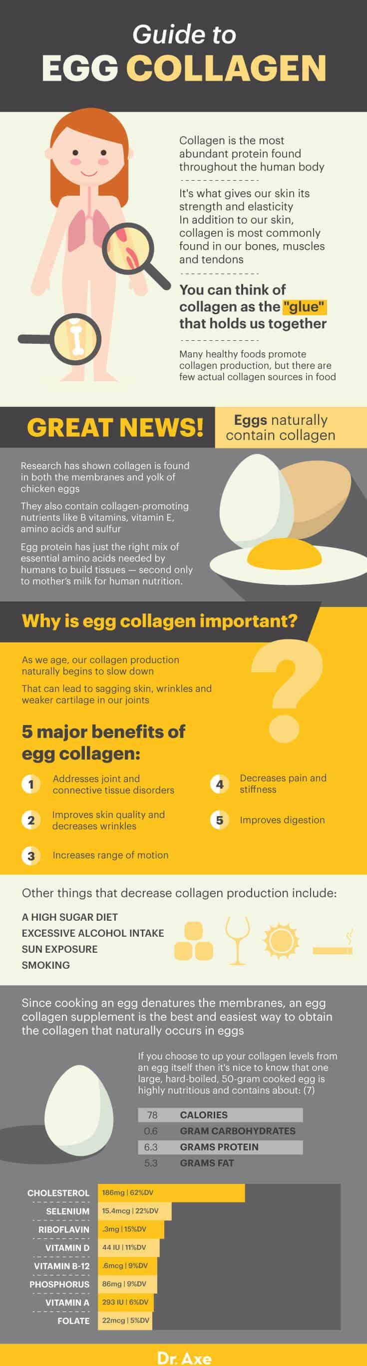 Guide to egg collagen - Dr. Axe