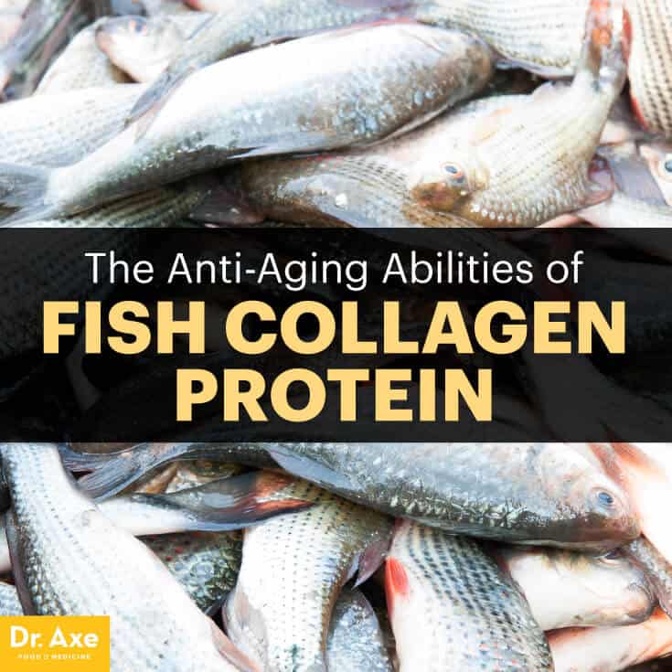 Fish collagen - Dr. Axe