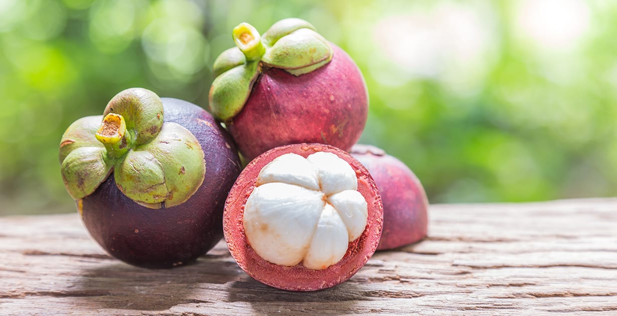 buah mangosteen