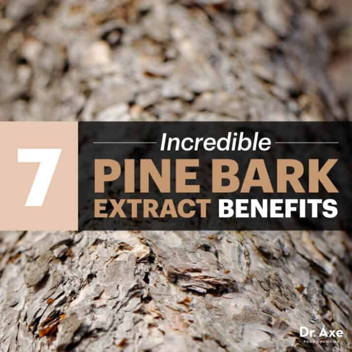 Pine Bark Extract Health Benefits, Nutrition and How to Use Dr. Axe