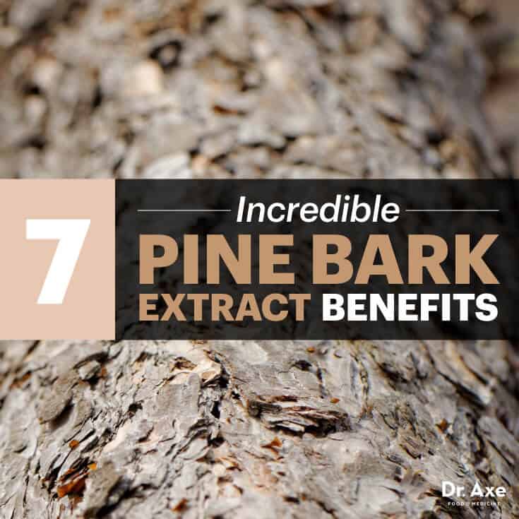 Pine bark extract - Dr. Axe