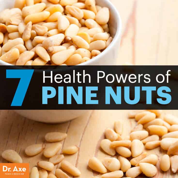 Pine Nut Nutrition Learn More About This Magnesium Powerhouse