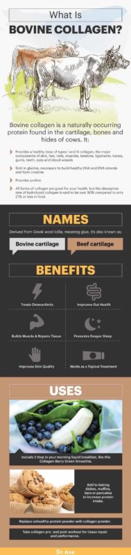 Bovine Collagen Benefits, Uses, Forms And More - Dr. Axe