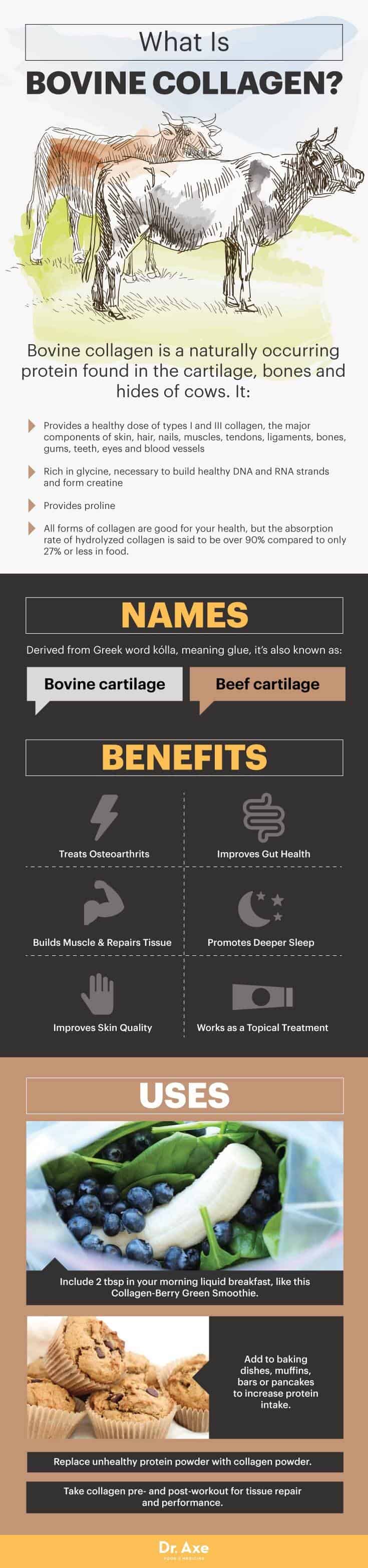 Bovine Collagen Benefits for Skin, Sleep & Muscle Repair