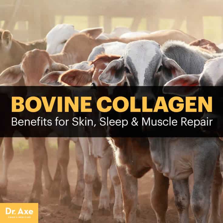 Bovine collagen - Dr. Axe