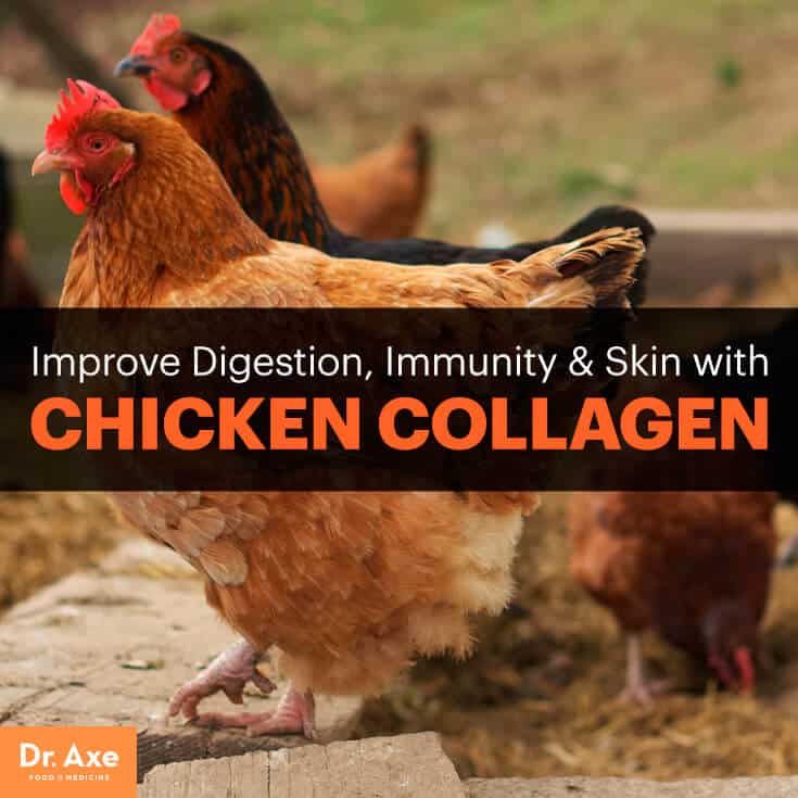 Chicken collagen - Dr. Axe