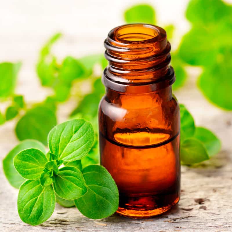 Oregano Oil Benefits, Uses, Dosage, Side Effects, Interactions - Dr. Axe