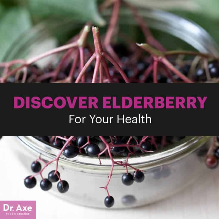 Elderberry - Dr. Axe
