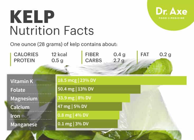 kelp-powder-nutrition-facts-besto-blog