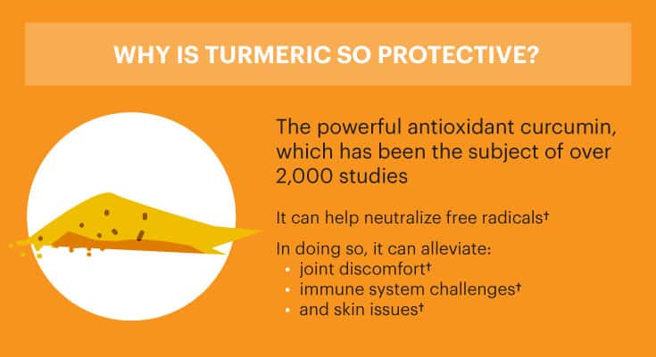 Turmeric's antioxidants