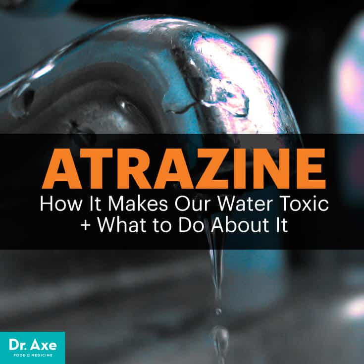 Atrazine - Dr. Axe