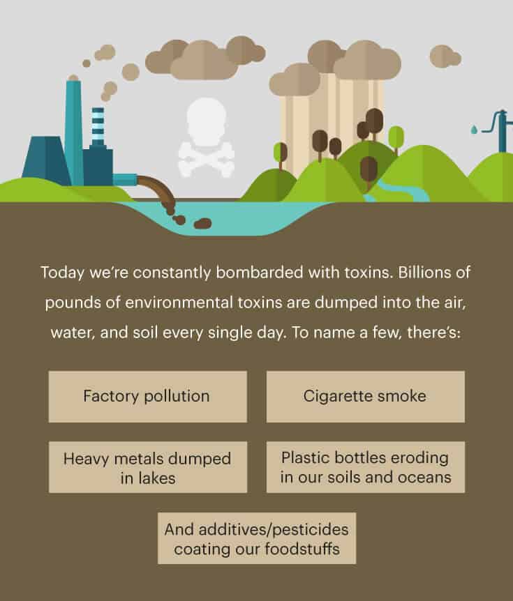 Graphic of toxic environment - Dr. Axe