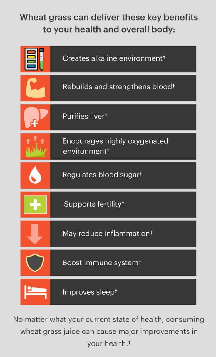Wheat grass benefits - Dr. Axe