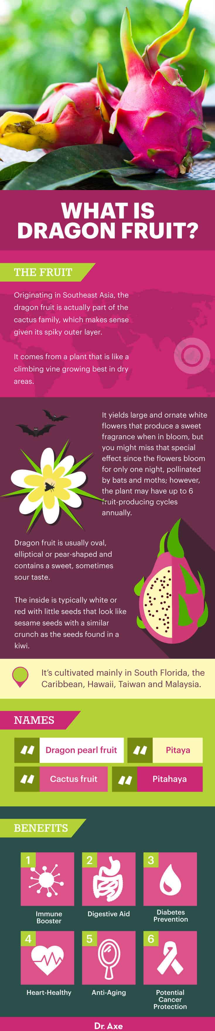 What is dragon fruit? - Dr. Axe