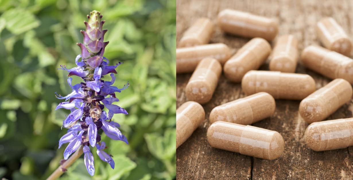Forskolin and natural remedies